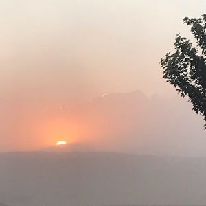 Meet your Posher, Lola